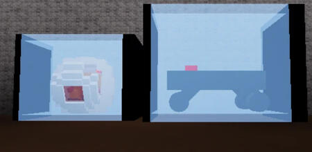 0005 In It's Home Environment.