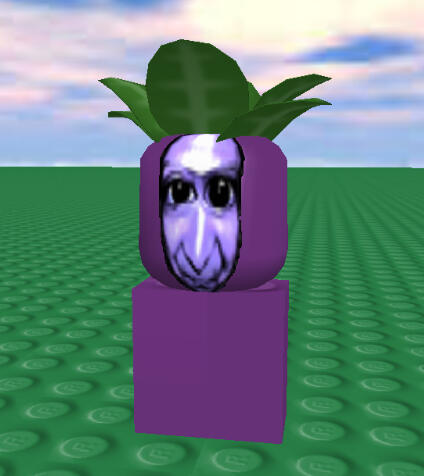 0005 In It's Home Environment.